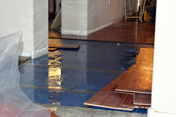 Professional Water Damage Restoration technician working in Jasper, IN